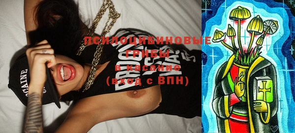 круглые Алексеевка