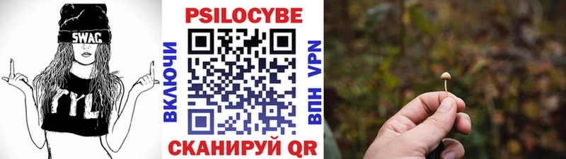 Псилоцибиновые грибы мухоморы купить KRAKEN ТОР Новошахтинск