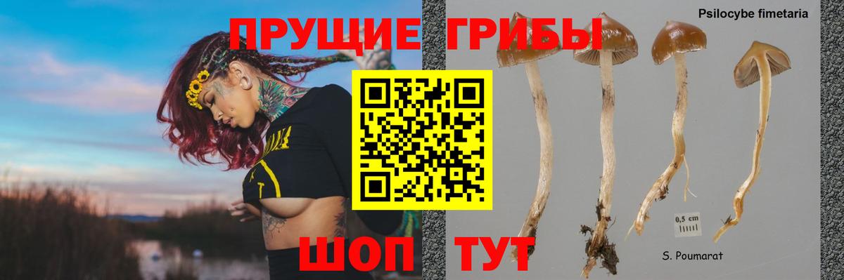 Галлюциногенные грибы ЛСД Новошахтинск
